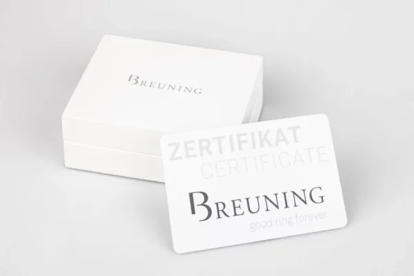 Solitärringe Weißgold | Ringe*Breuning 41/85771-6 Ring Brillant 0,10 ct W-si 14 kt Weissgold