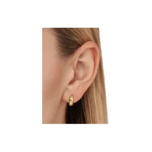 Ohrschmuck*Michael Kors MKC1599AA710 Ohrringe Creolen Damen Premium Silber Vergoldet