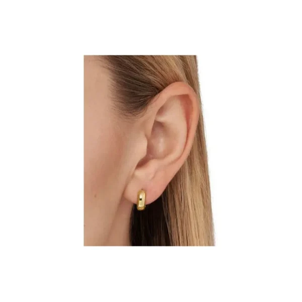 Ohrschmuck*Michael Kors MKC1599AA710 Ohrringe Creolen Damen Premium Silber Vergoldet