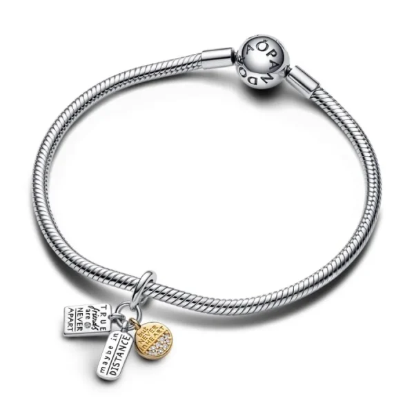 Anhänger*Pandora Charm-Anhänger Damen Freundschaft Zirkon Silber Vergoldet 763436C01