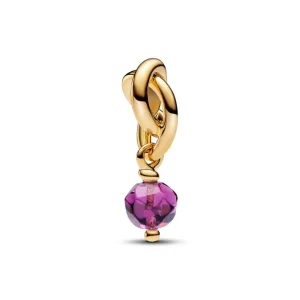 Anhänger*Pandora Charm-Anhänger Violetter Ewigkeitskreis Februar Vergoldet 763462C02