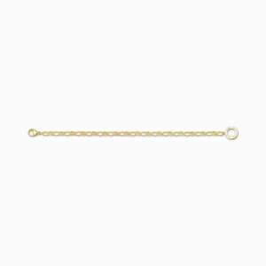 Armbänder & Armreife*Thomas Sabo Charm-Armband Damen Klassisch Silber Vergoldet X0031-413-39