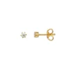 Ohrschmuck*Xenox XS3515G Ohrstecker Silver Circle Gelb-Gold Zirkonia Ø 3 mm